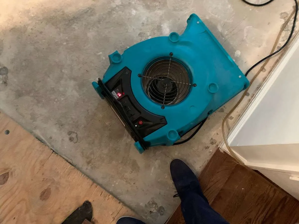 Air mover drying subfloor during Leak Detection & Repair in Caernarvon